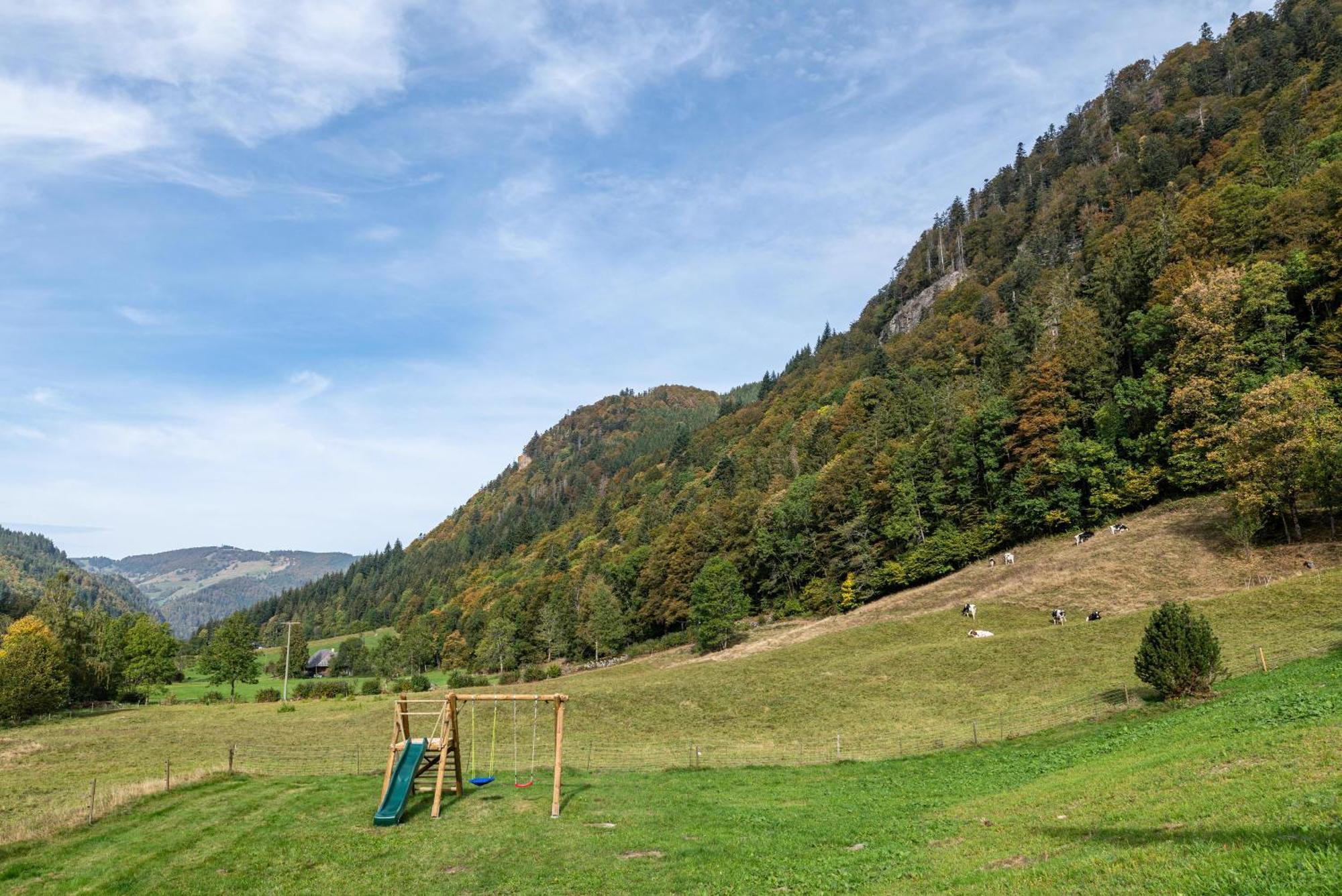 Gasthaus Zur Linde- Napf Oberried  Eksteriør bilde