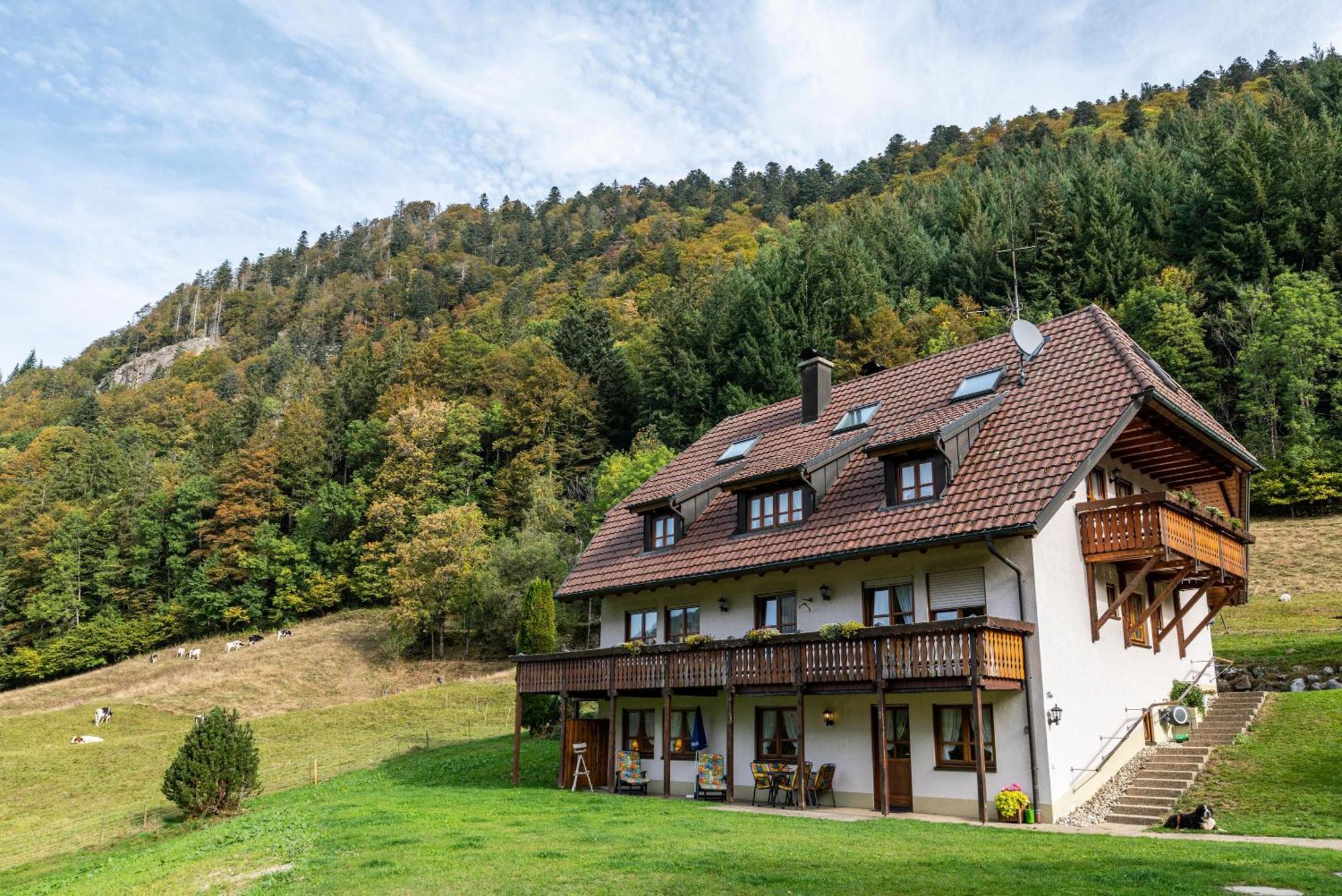 Gasthaus Zur Linde- Napf Oberried  Eksteriør bilde