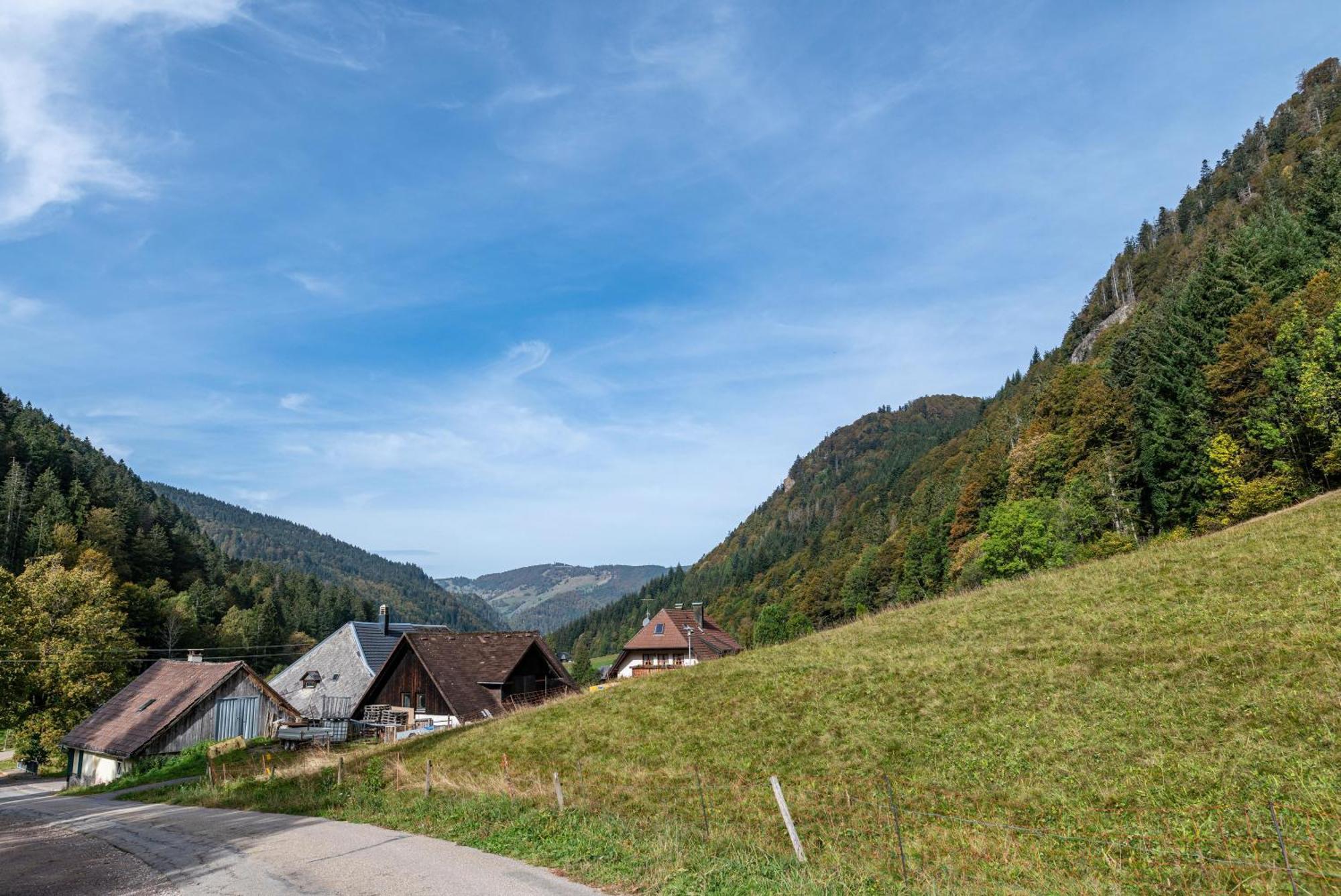 Gasthaus Zur Linde- Napf Oberried  Eksteriør bilde