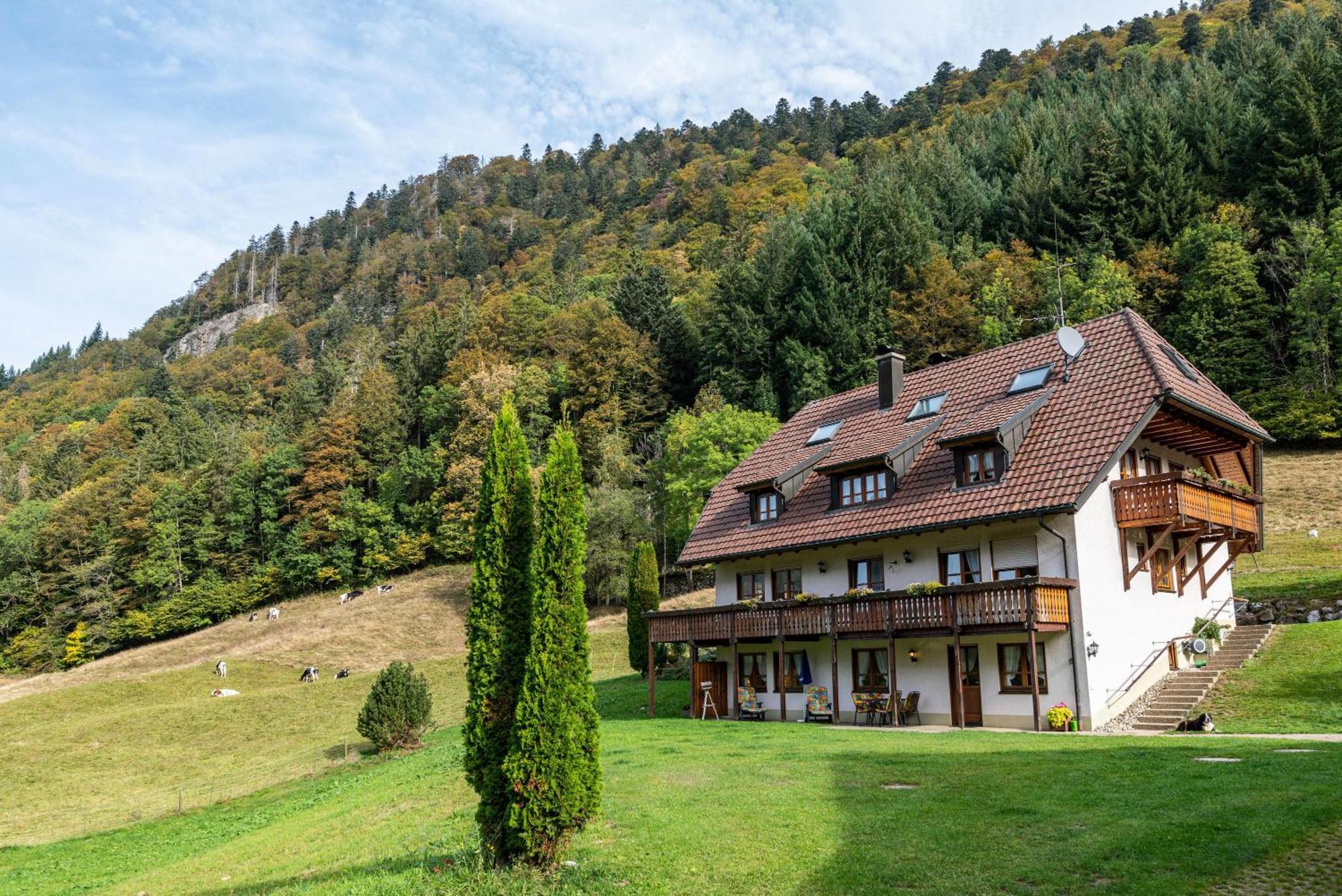 Gasthaus Zur Linde- Napf Oberried  Eksteriør bilde