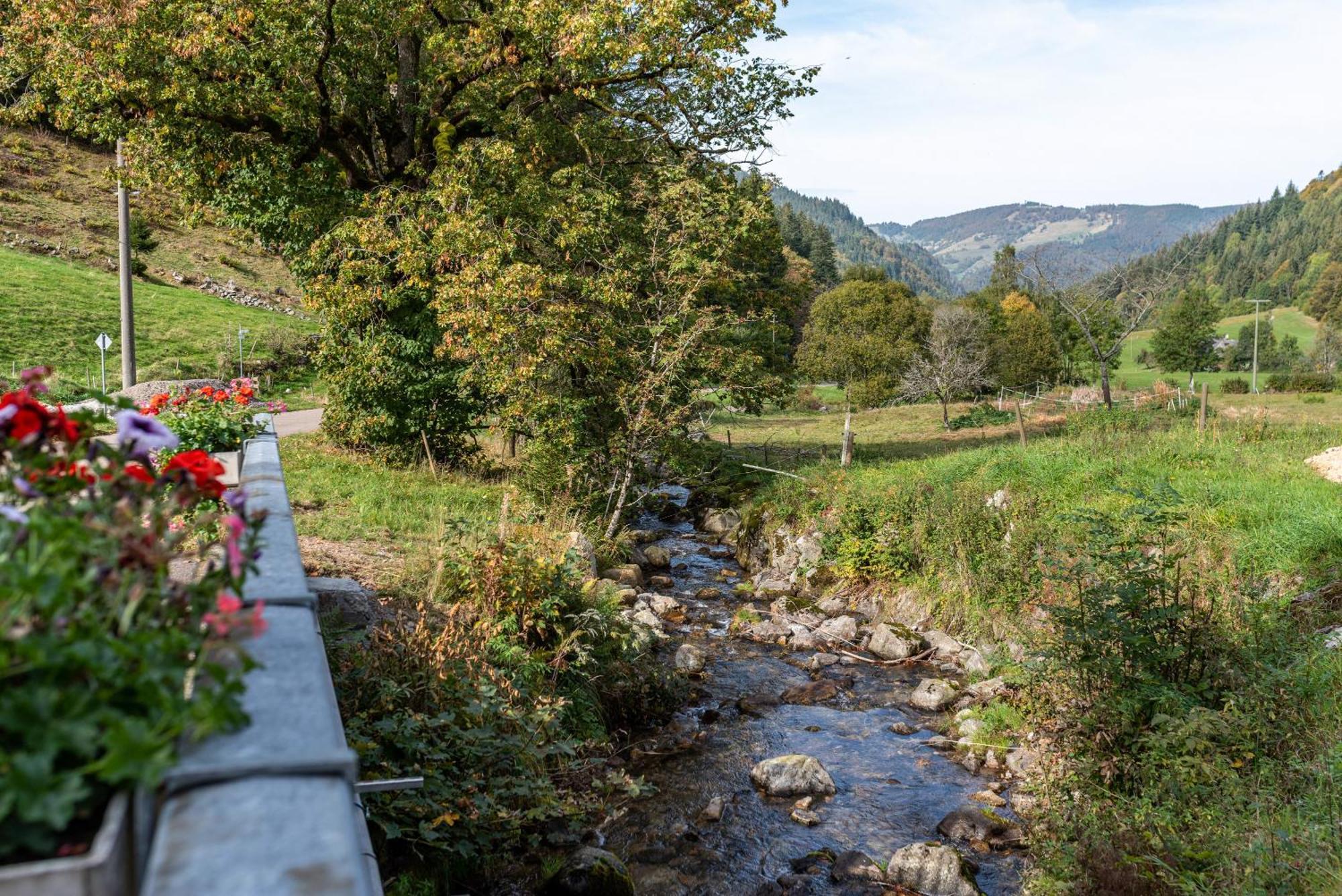 Gasthaus Zur Linde- Napf Oberried  Eksteriør bilde